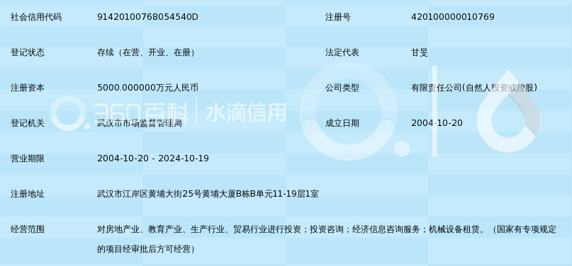 武汉中原投资发展